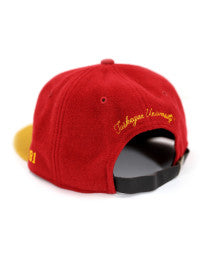 TUSKEGEE UNIVERSITY WOOL CAP